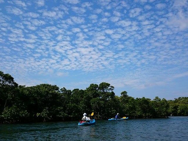 ���\���J�k�[�c�A�[�ē��O�q�]