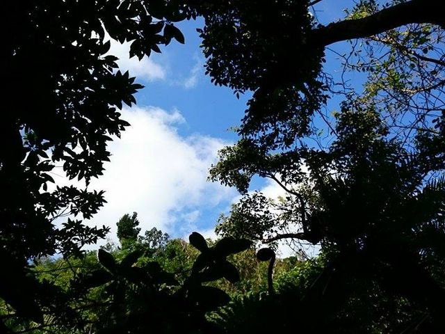 ���\���J�k�[�c�A�[�ē��O�q�]