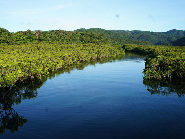 ���\���J�k�[�c�A�[�ē��O�q�]