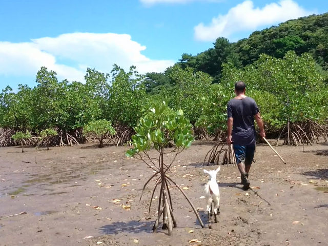 ���\���J�k�[�c�A�[�ē��O�q�]