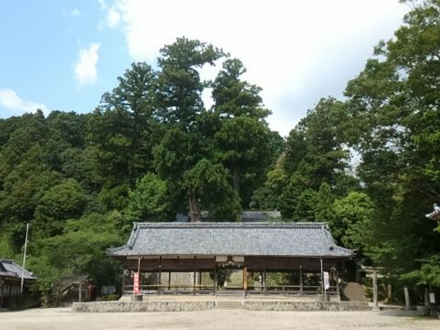 �z�v���_��