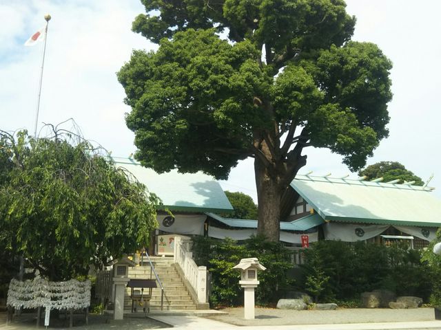 �ɐ�����_�{