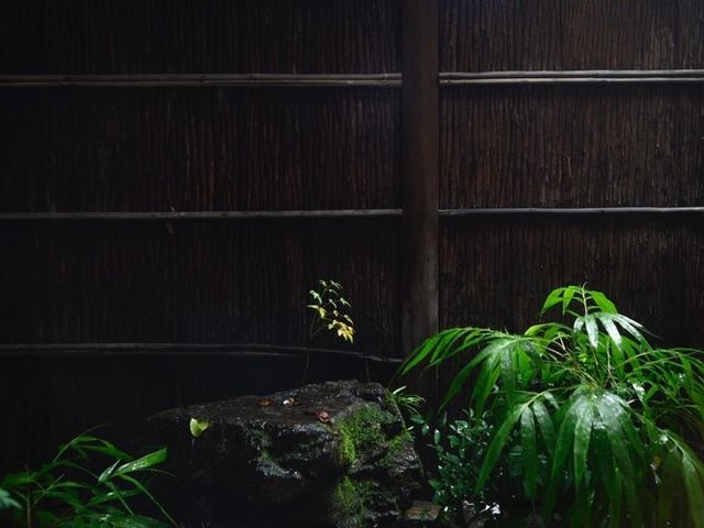 �f�G�Ȓ�𒭂߂Ȃ���̒��t���͊X����ό��n�̃e�i���g�r���̃����^�������X�Ƃ͑S���قȂ��ґ�Ȏ���_UME�@SAKURA�@���s���������^������