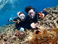 Diving Shop Lei ダイビングショップレイ 予約 アクセス 割引クーポン じゃらんnet