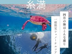 ピリアロハ ダイビングサービスの写真1