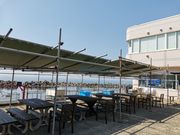 �A�N�A�}��������X�̎ʐ^2