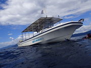 �A�N�A�}��������X�̎ʐ^4