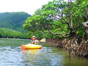 ���\�������X�[���̎ʐ^3