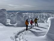 YAMAGATA EXPERIENCE(���}�K�^ �G�N�X�y���G���X)�̎ʐ^4