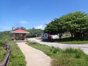 �s���A���n�@�_�C�r���O�T�[�r�X�̎ʐ^4