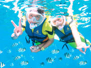 �A�C�����h��y���̎ʐ^4