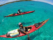 oWEgbv\tB[hT[rX̎ʐ^2