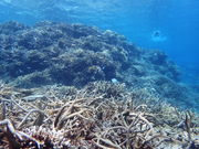 oWEgbv\tB[hT[rX̎ʐ^4