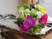 atelier@ؕqivU[uht[EA[eBtBVt[EJgi[Wj̎ʐ^3