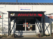 �x�ÃA�N�A�t�@�[���̎ʐ^3