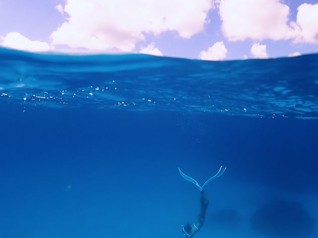 �ɗǕ����K�C�h�@�����΁`�̉H