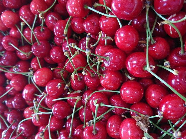 �܂�悵�ʎ���