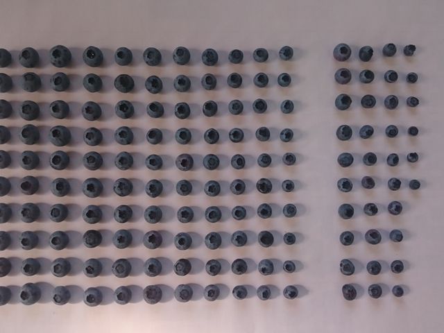 �܂�悵�ʎ���