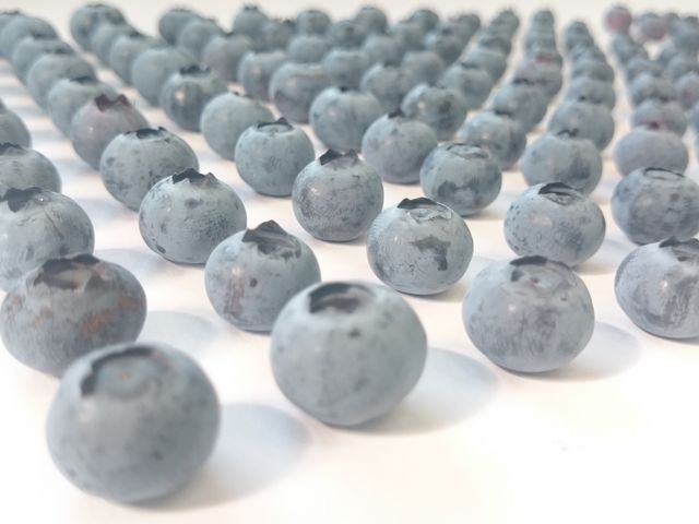 �܂�悵�ʎ���