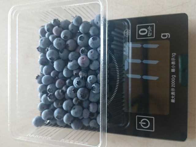 �܂�悵�ʎ���