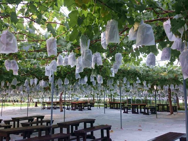 �܂�悵�ʎ���