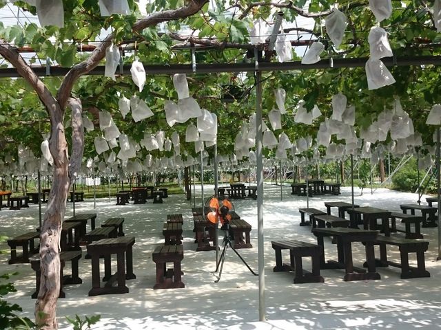 �܂�悵�ʎ���