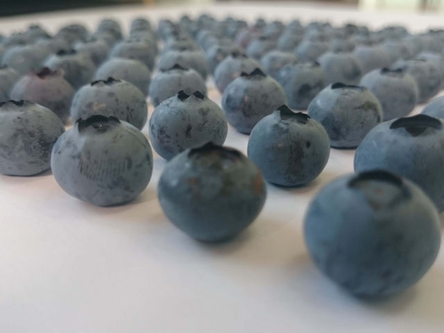 �܂�悵�ʎ���