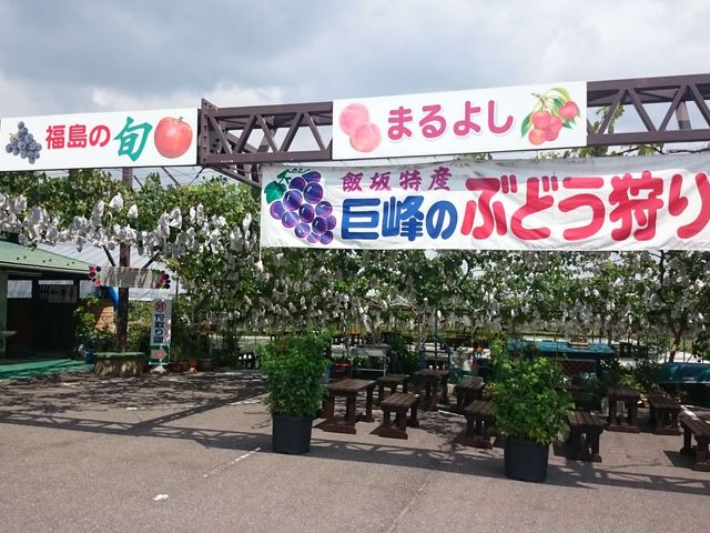 �܂�悵�ʎ���