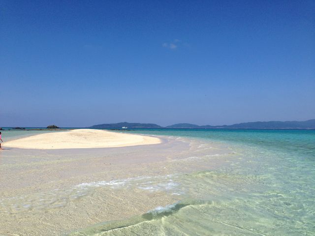 �R�U�O�x�C�Ɉ͂܂ꂽ���̓��Ŗ������̂��ō��I_�Ί_���g�[�^���}����