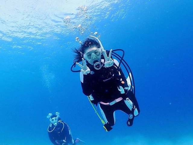 �P���}�u���[�̊C�Ń_�C�r���O_�_�C�r���O�`�[����