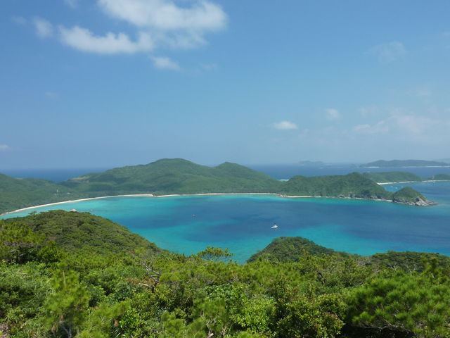 �P���}�����̓��X_�_�C�r���O�`�[����