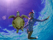 ɗǕKCh@΁`̉H̎ʐ^3