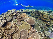 ɗǕKCh@΁`̉H̎ʐ^4