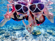 ɗǕόKCh䂤ނ̎ʐ^2