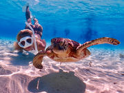 ɗǕόKCh䂤ނ̎ʐ^3