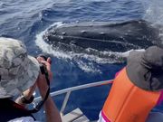 �_�C�r���O�`�[�����̎ʐ^3