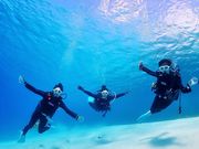 �_�C�r���O�`�[�����̎ʐ^4