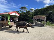 ���\���J�k�[�c�[�����O�����炷�̎ʐ^4