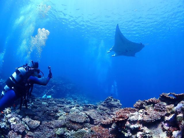 DIVE SHOP Jua�̎ʐ^1