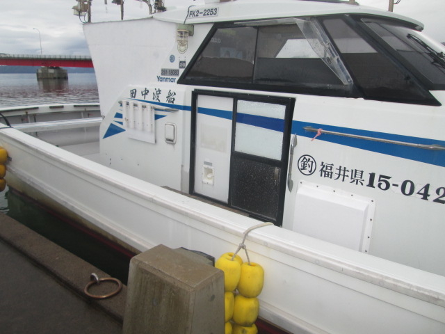 �c���n�D�@�ዷ��