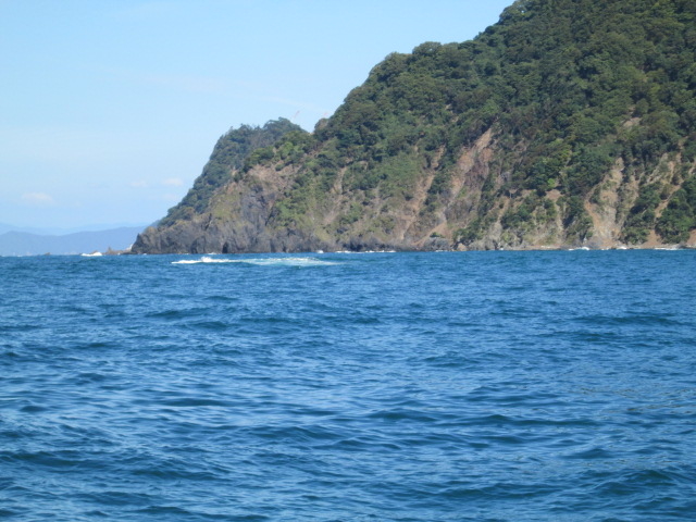 �c���n�D�@�ዷ��