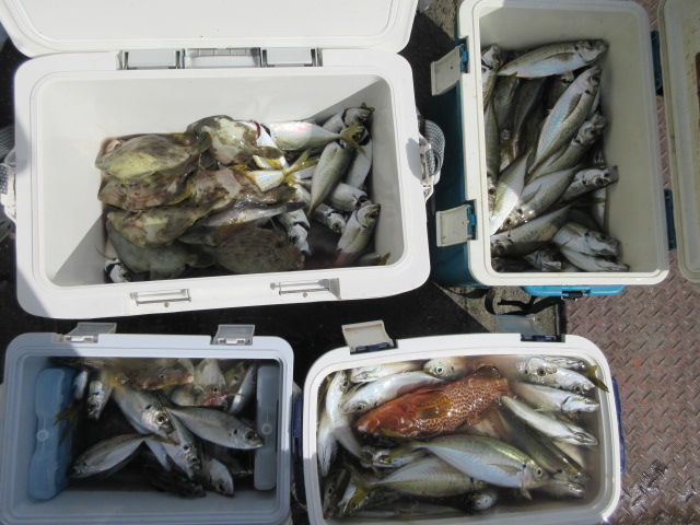 �c���n�D�@�ዷ��