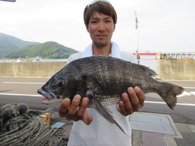 �c���n�D�@�ዷ��