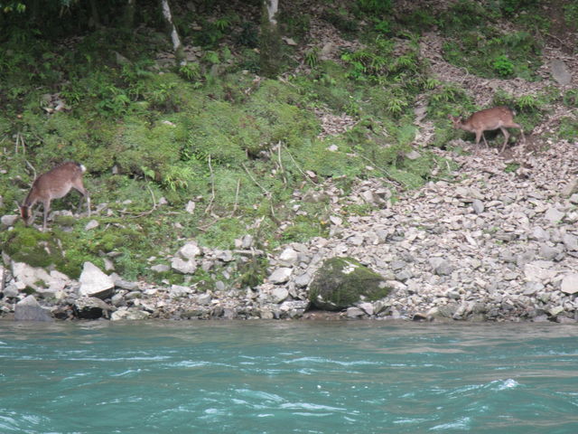 �J�k�[���܂�ƃx�[�X