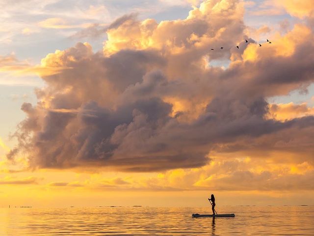 ���΃_�C�j���O-Perchill-