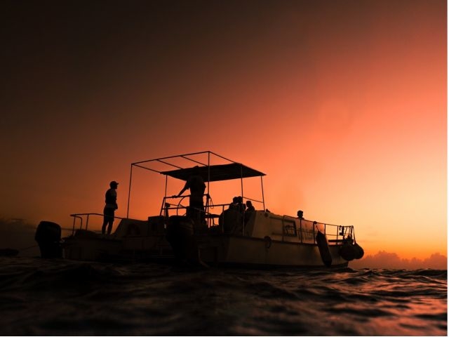 ���΃_�C�j���O-Perchill-