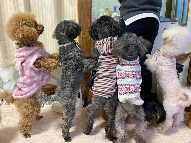 ������傤�����i�c�̌��j_���ʂ̂�����@��˓X