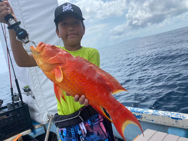 �i�K�W���[�~�[�o�C�B�悭�ނ�邨���ł�>* ))))><���h�g�A�ϕ��A�Ȃ�ł����������ł���`��_���S�Ґ��ނ�D �t�B�b�V���\���O