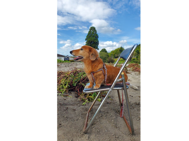 2025.10.12 �Ŕ��A���X�͂������܂���_���{�_��