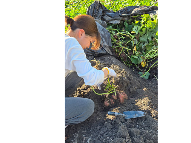 2025.10.7 ������͈��[���@����ςȗ\��_���{�_��